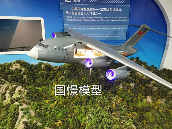 阳谷县飞机模型