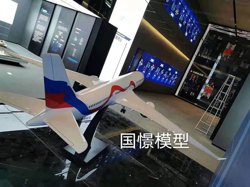 阳谷县飞机模型