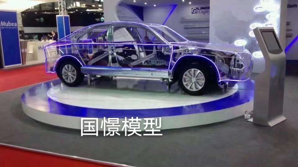 阳谷县透明车模型